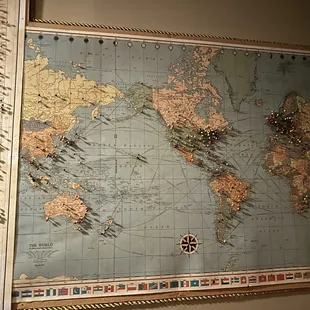 Pins placed in all the countries where visitors are from