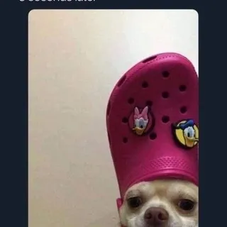 D N.