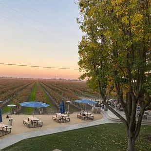 golden hour view from the tasting deck