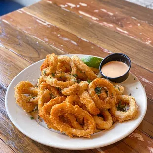 Fried Calamari