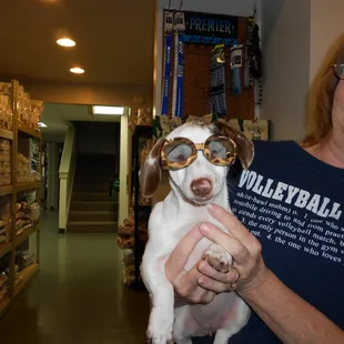 Bogue Animal Hospital