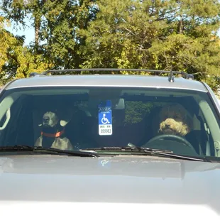 Some of our favorite patients waiting for their owner to come back out with their goodies