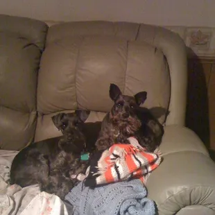 Titan/Hannah love Dr. Bogue