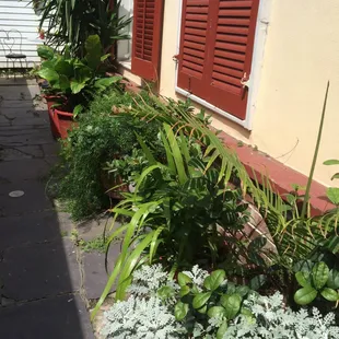 Breezeway - great for gathering for a pint and conversation.