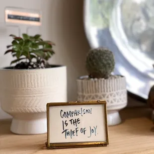 Plant collection. Curated for the home.