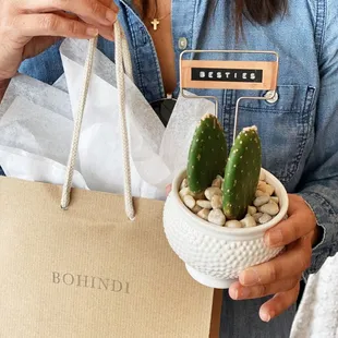 Plant gifts for your besties.