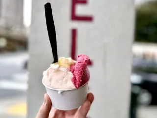 GIO Gelati - San Francisco