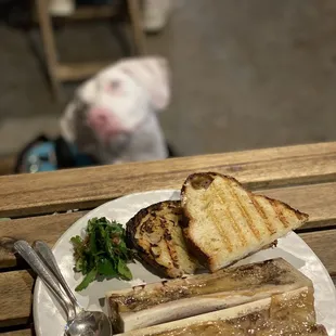 Bone marrow