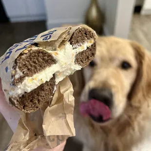 pumperthingel with cheddar horseradish cream cheese