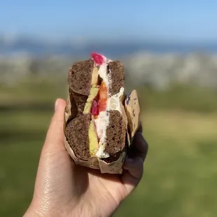 Pumperthingle bagel with tomato, avocado, pickled onions, & onion fennel cc