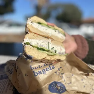 The Daily Special