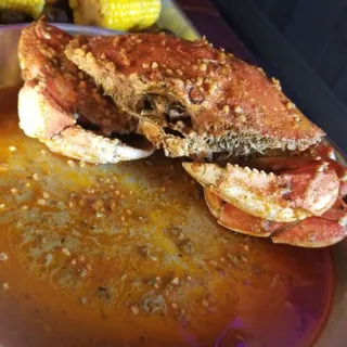 Dungeness Crab
