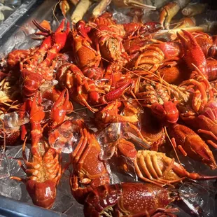 a tray of lobsters on ice