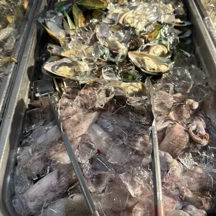 Squid and mussels