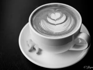 Sparrow Café