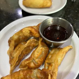 spring rolls and gyoza. the sauce for the dumplings? *chefs kiss*.