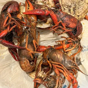 a pile of lobsters on a plastic bag