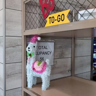 Fernando Llamas, the Christmas llama