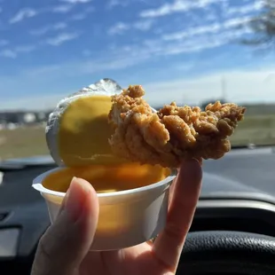 food, bbq chicken, chicken, fried chicken, bbq wings, fried chicken wings, chicken wings, chicken wings and fried chicken, poultry