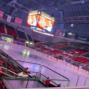 Charlotte Checkers Game