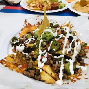 Carne Asada Loaded French Fries