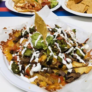 Carne Asada Loaded French Fries
