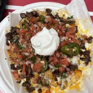 Carne Asada Loaded French Fries