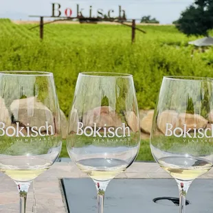 Lovely ambiance and delicious wine