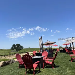Lawn area with umbrellas and firepits