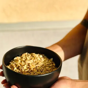 Bolcupop - Arlington