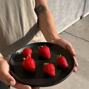 Come In Today! Try our Delicious, Fresh Items Made To Order!