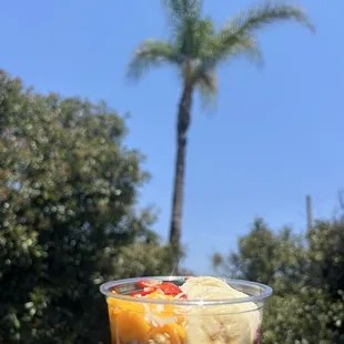 Pitaya Bowl with granola, honey, and 4 toppings (strawberry, banana, mango, and coconut shreds)  Circa $8.50