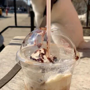 a cup of iced coffee and a dog