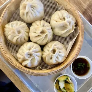 Beef Dumplings