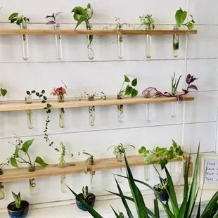 Take a cutting; leave a cutting