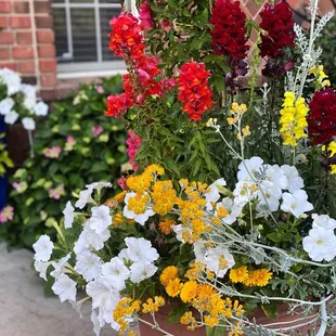 a variety of flowers