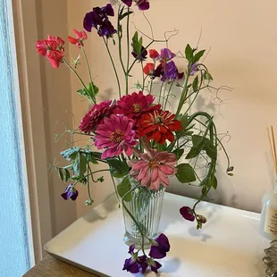 Sweet peas and zinnias, grown from Bolles starts!