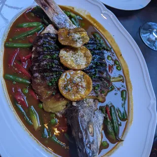 Red Snapper