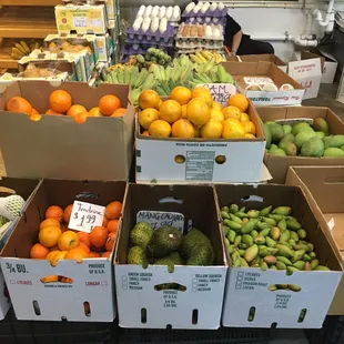 a variety of fruits and vegetables