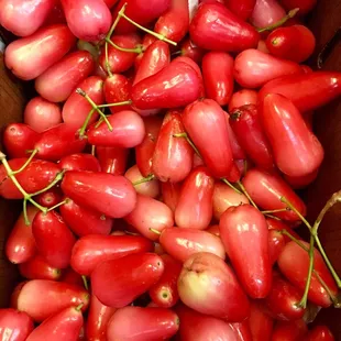 a box of red peppers