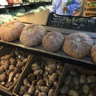 a variety of vegetables