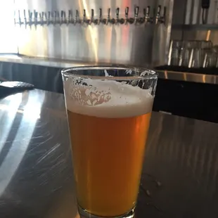 Citra Pale Ale Pint