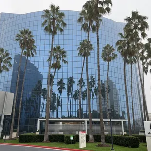 palm trees in front of a building