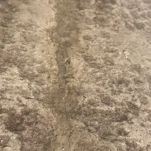 Crack the entire width of the walkway and stretching into coping.