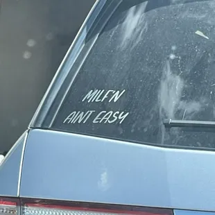 a dog in the back window of a car