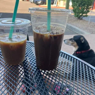 two cups of iced coffee on a table with a dog in the background