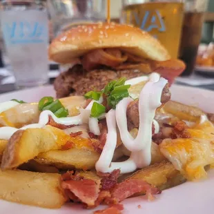 a plate of fries and a burger