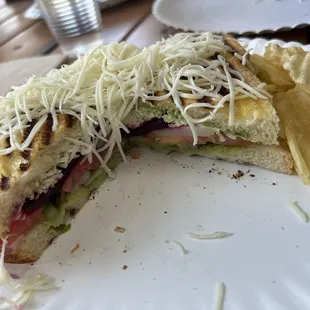 Veg Sandwich with Cheese