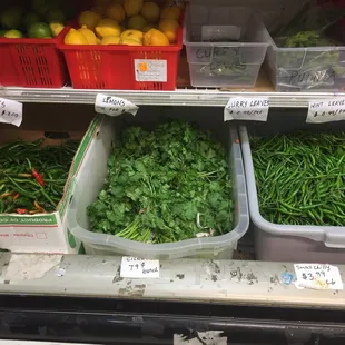 a variety of vegetables in bins