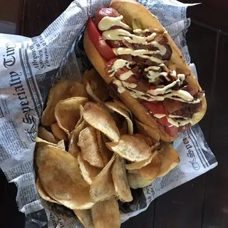 California Dreamer Dog
